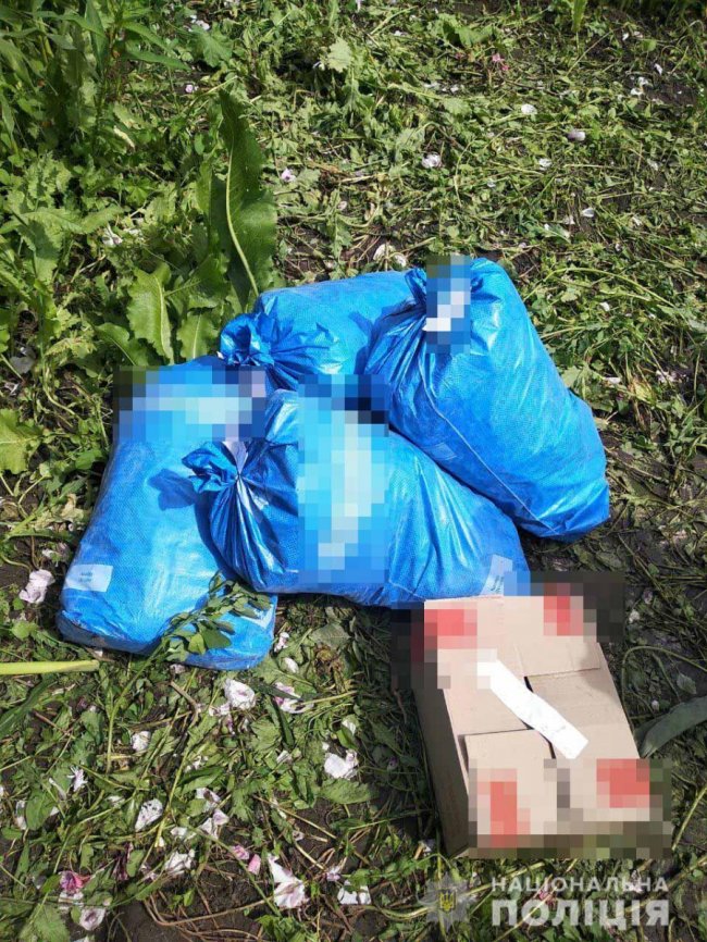 У волинянки на городі знайшли плантацію  маку. ФОТО