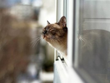 Якою буде погода в Україні завтра, 5 травня