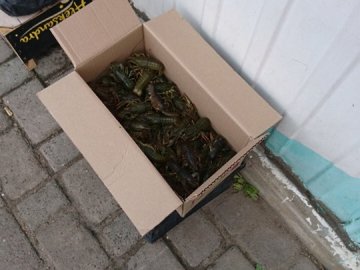 На центральному ринку у Ковелі чоловік продавав незаконно раків 