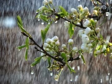 До кінця тижня в Україні «блукатимуть» періодичні дощі, – синоптик