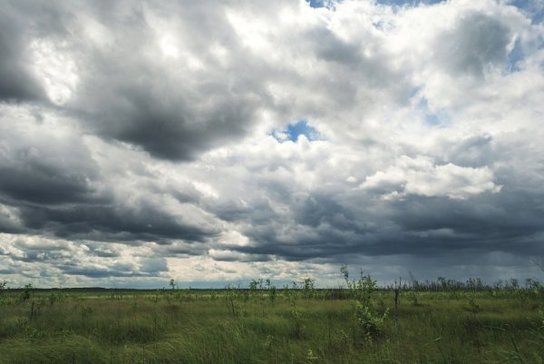 Фотовиставка Олега Гордіюка