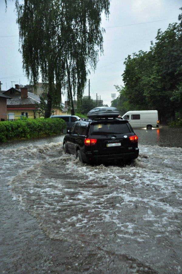 Фото: Антонина Климишина