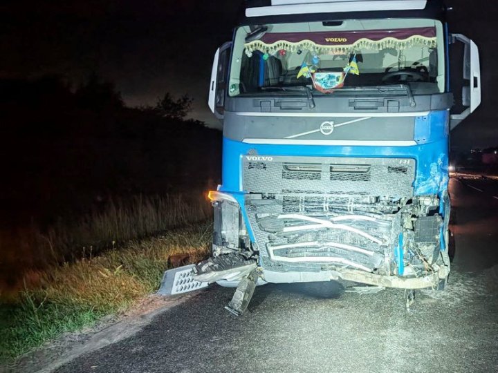 На Рівненщині водій авто збив косулю, потім зіткнувся із вантажівкою, за кермом якої був волинянин