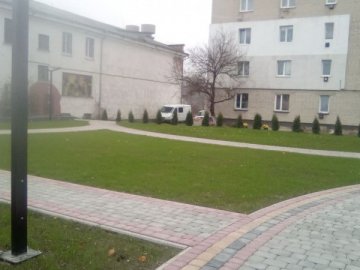 Сквер у місті на Волині озеленюватимуть луцькі комунальники. ФОТО