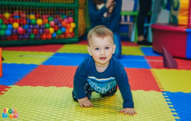 Забіг малюків та виставка собак. Добрі новини Волині
