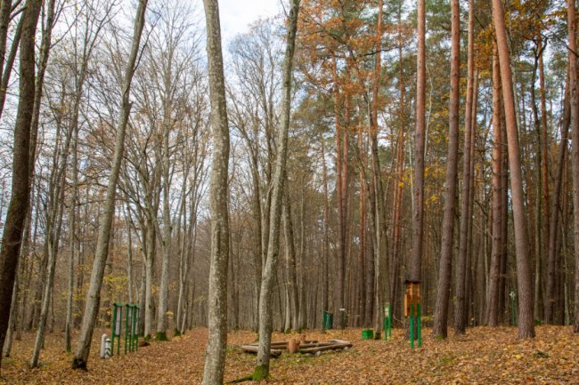 У «Цуманській пущі» відкрили нову екостежку. ФОТО