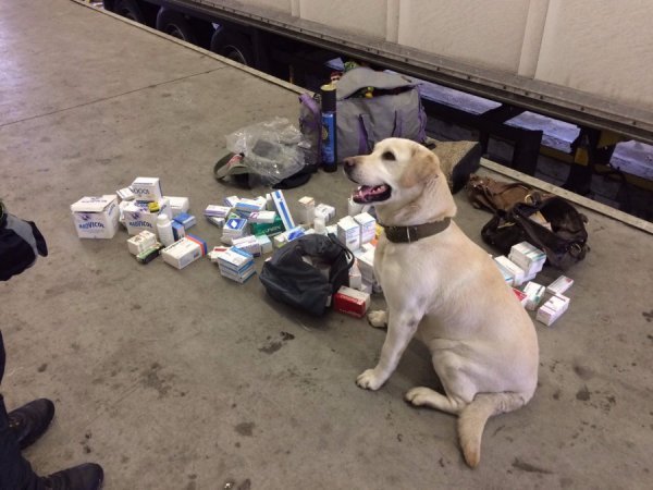 На «Ягодині» затримали німця, який перевозив психотроп  