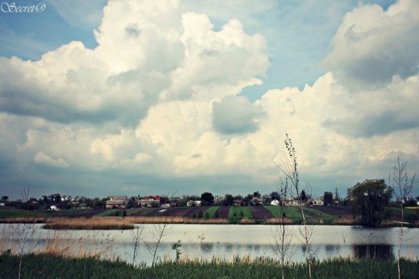 Фотовиставка Олександри Містюк