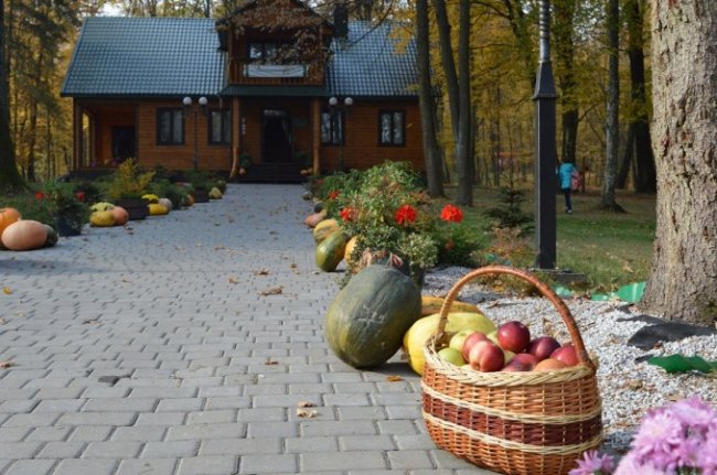 Як на Волині святкували перший день народження Лісівничого молодіжного центру. ФОТО, ВІДЕО