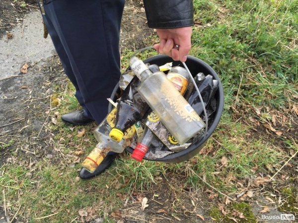 У Луцьку працівники ПриватБанку прибирали і садили дерева в парку ім. Лесі Українки. ФОТО