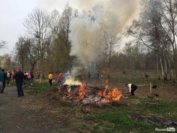 У Луцьку працівники ПриватБанку прибирали і садили дерева в парку ім. Лесі Українки. ФОТО