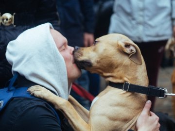 У Луцьку пройде марш за права тварин