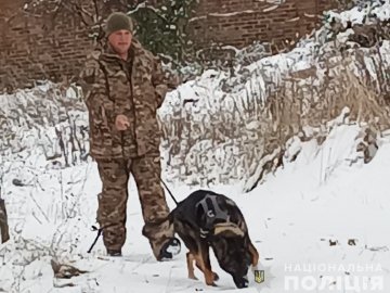 Двоє волинян за добу скоїли чотири крадіжки