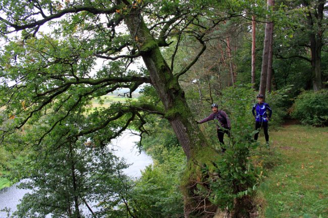 Водосховище та затоплений ліс: подорож цуманськими дібровами. ФОТО
