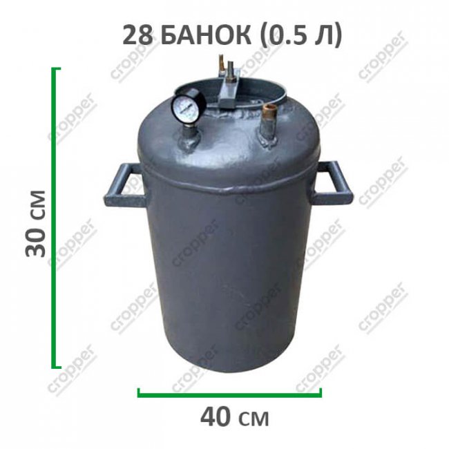 Коли варто купити автоклав вогневого типу*