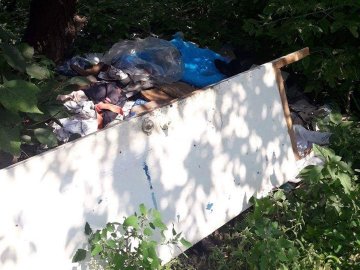 У Луцьку муніципали покарали чоловіка, який спричинив сміттєзвалище. ФОТО