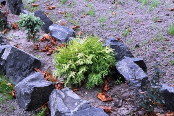 Як у Луцьку готуються відкрити Міст Закоханих. ФОТО