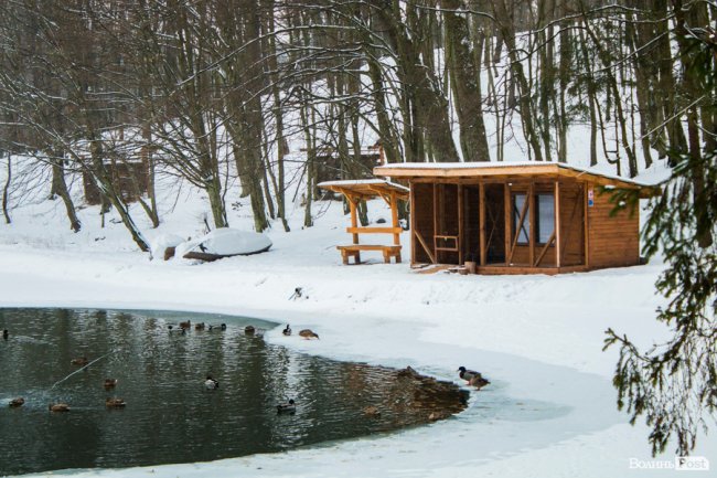 Подорож в казку: особливим людям влаштували прогулянку «волинською Швейцарією». ФОТО
