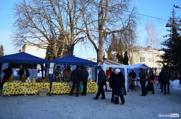 У Луцьку куштують, п’ють та лікуються медами. ФОТО  
