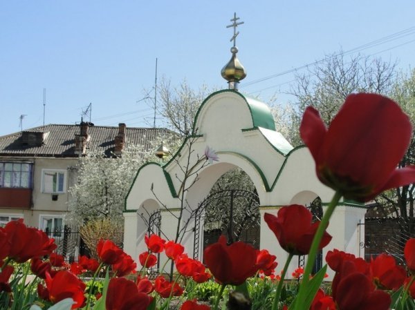Фото «типового» Горохова