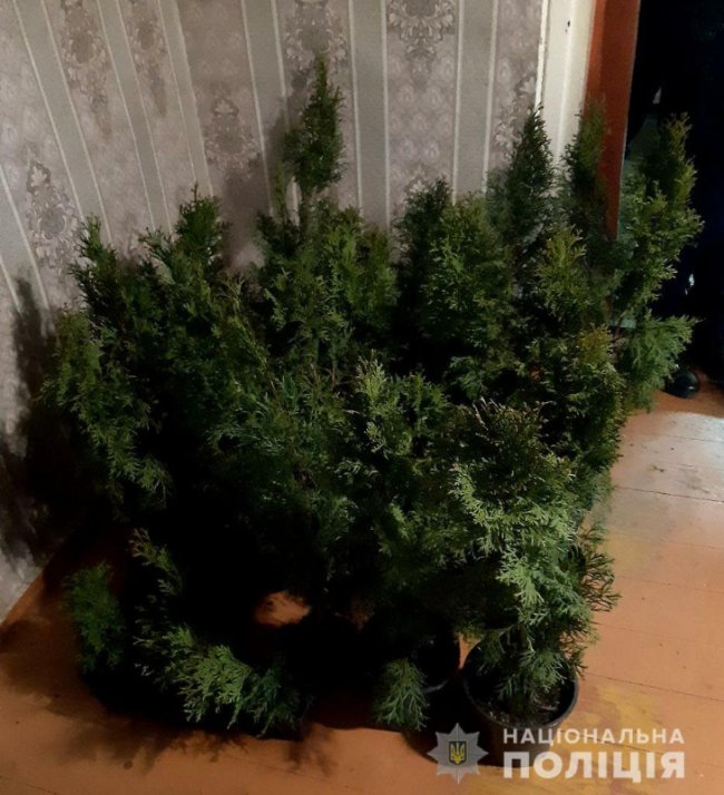 Раніше судимого волинянина затримали за крадіжку з автомобіля 