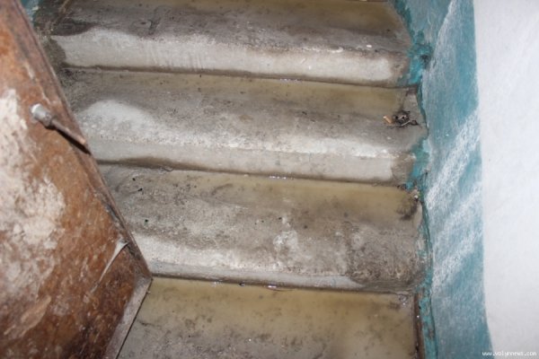 У Луцьку затопило багатоповерхівку. ФОТО