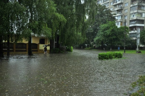 Фото: Антонина Климишина