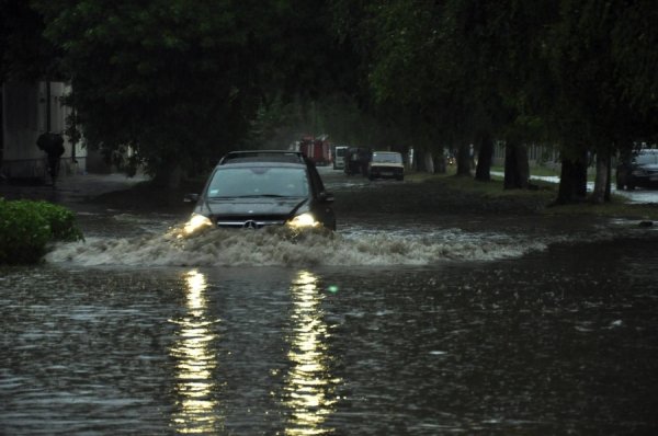 Фото: Антонина Климишина