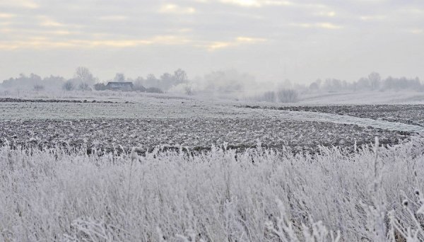Волинь в льодяному тумані. ФОТО