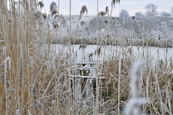 Волинь в льодяному тумані. ФОТО