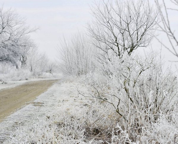 Волинь в льодяному тумані. ФОТО