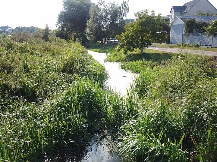 Будівельне сміття та обміління: що відбувається з річкою біля Луцька
