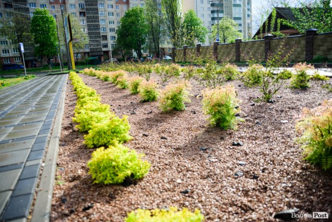 Яскраві оселі для яскравих людей: у Луцьку продовжують будувати ЖК «Caramel Residence». ФОТО*