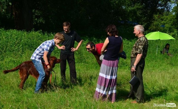 У Луцьку ‒ виставка мисливських собак. ФОТО 