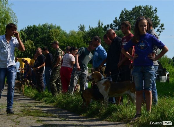 У Луцьку ‒ виставка мисливських собак. ФОТО 