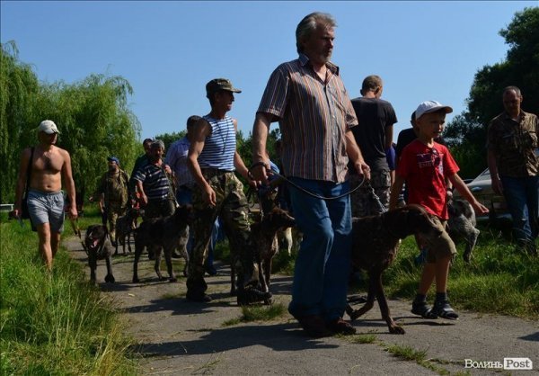 У Луцьку ‒ виставка мисливських собак. ФОТО 