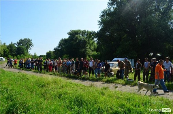 У Луцьку ‒ виставка мисливських собак. ФОТО 