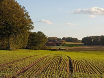 Суд відібрав у фермерів на Волині землю за 13 мільйонів