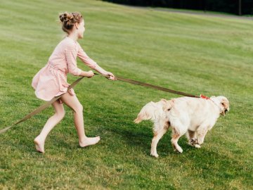 Луцьк: мешканці ЛПЗ просять майданчик для вигулу собак