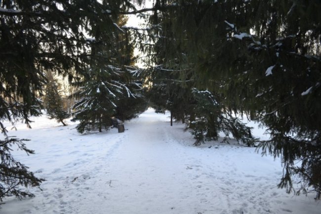 Зимовий спокій центрального парку Луцька. ФОТО