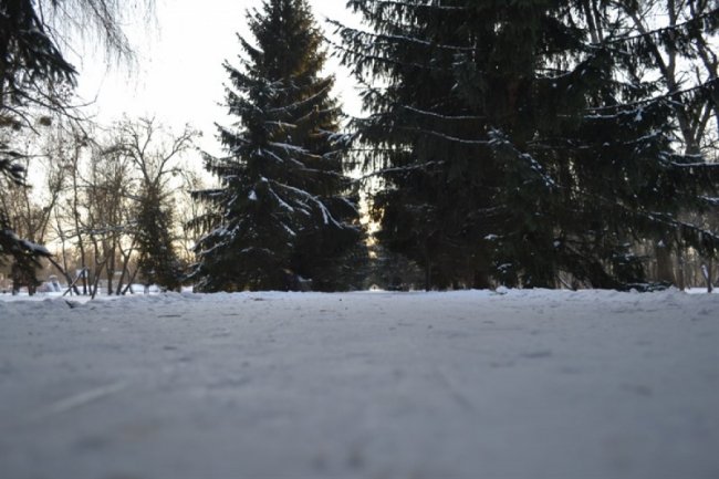 Зимовий спокій центрального парку Луцька. ФОТО
