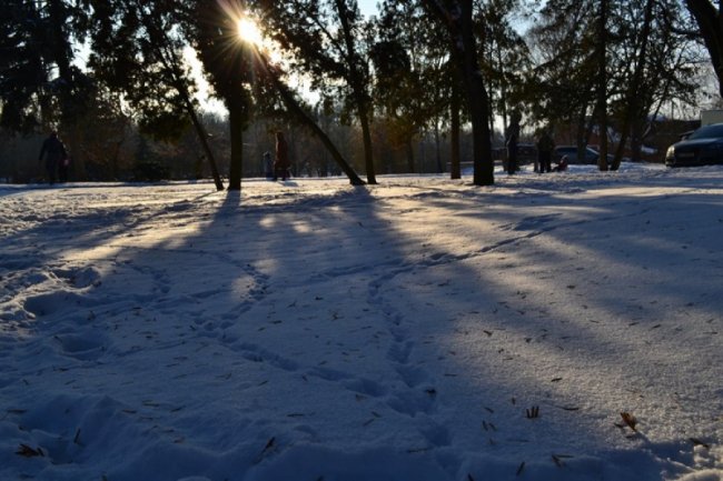 Зимовий спокій центрального парку Луцька. ФОТО