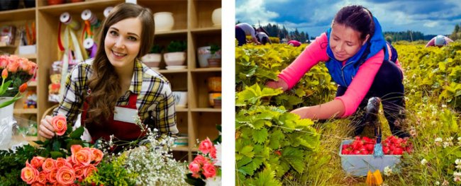 Яку роботу в Польщі пропонують для жінок та чоловіків*