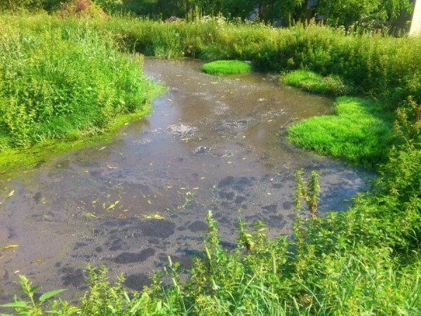 У Локачах назріває екологічна проблема. ФОТО