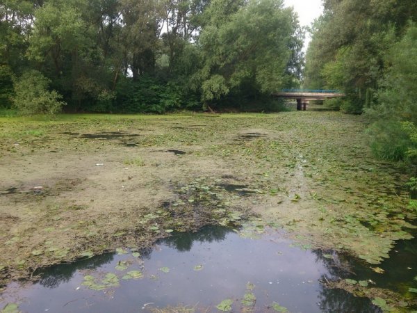 У Локачах назріває екологічна проблема. ФОТО