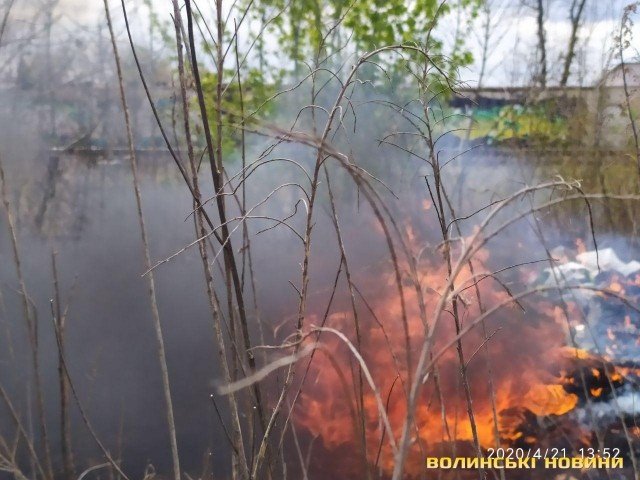У Луцьку на Карпенка-Карого неподалік автосалону  – пожежа. ФОТО