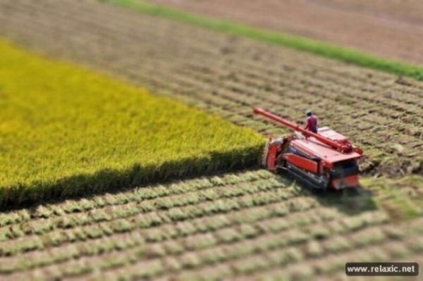 Вражаючі світлини з ефектом Tilt-shift: іграшковий світ, у якому ми живемо. ФОТО