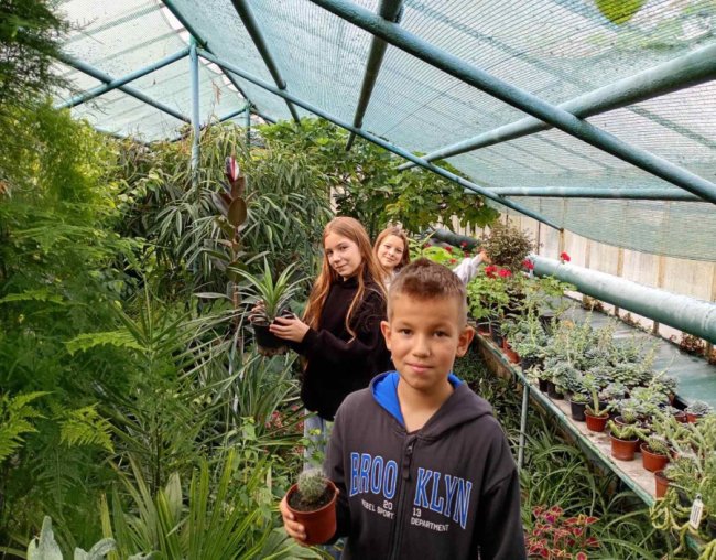 Екзотична теплиця школярів з Волині – найкраща в Україні. ФОТО