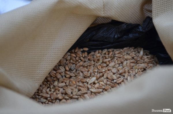 «НКВДисти-охоронці хліба» в Луцьку нагадують про голодомор. ФОТО 