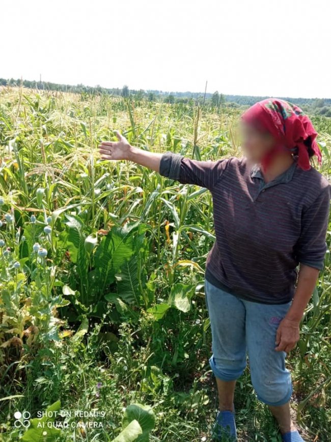 У Ківерцівському районі  поліцейські на городі знайшли великі посіви снодійного маку